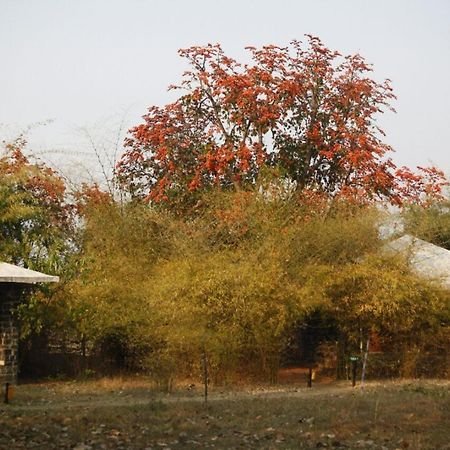 Hotel Renest Bandhavgarh Meadows Tāla Exterior foto