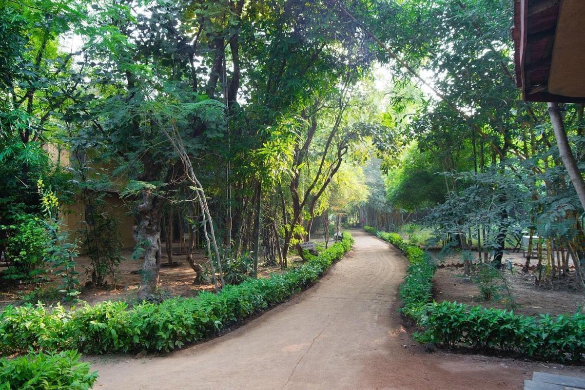 Hotel Renest Bandhavgarh Meadows Tāla Exterior foto