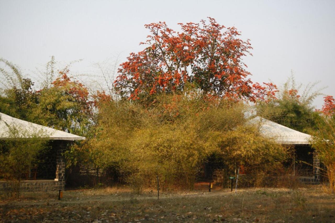 Hotel Renest Bandhavgarh Meadows Tāla Exterior foto